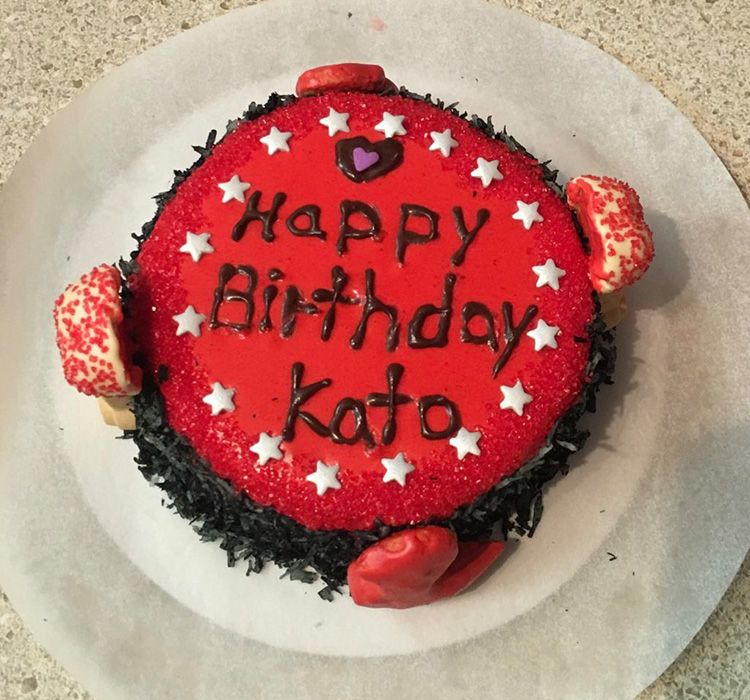 red dog birthday cake for kato