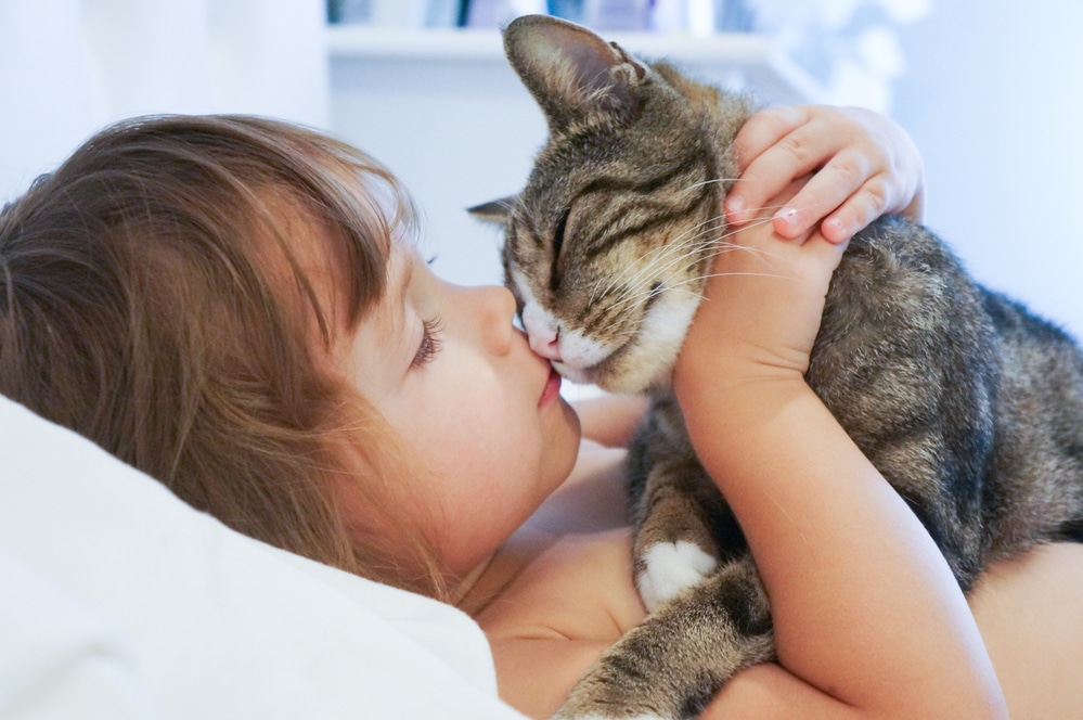 Child is kissing a cat