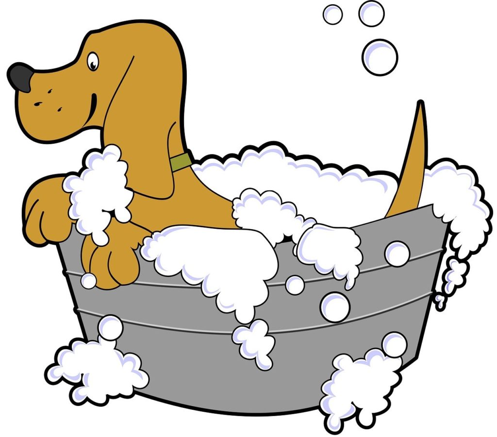 Las Vegas Dog Groomers - cartoon image of a dog in a bath
