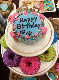 dog-cake-and-donuts